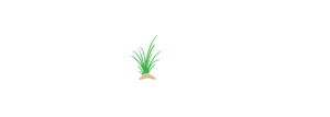 The Quiet Resorts