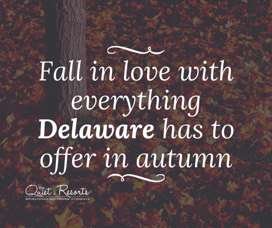 fall-in-love-with-everything-delaware-has-to-offer-in-autumn-1