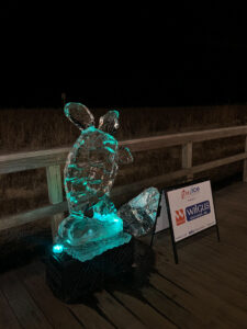 a light up turtle statue on a wooden deck
