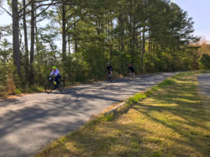 three bicyclists riding down a road in the woods