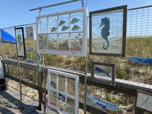 several framed pictures hanging on a fence near the beach