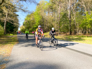 several bicyclists are riding down the road together