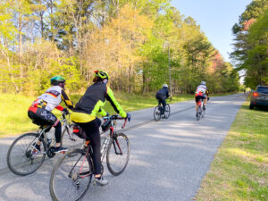 several people riding bikes on a road in the woods
