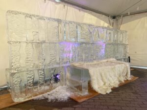 an ice sculpture is shown in the middle of a room
