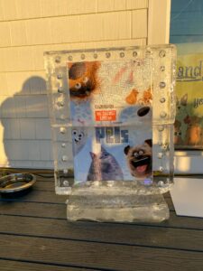an ice block with pictures of animals on it