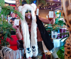 a man in a bear costume holding up two cards