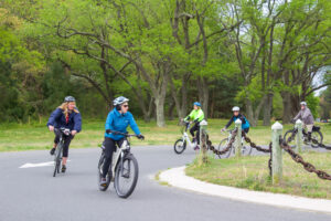 a group of people riding bikes down a street