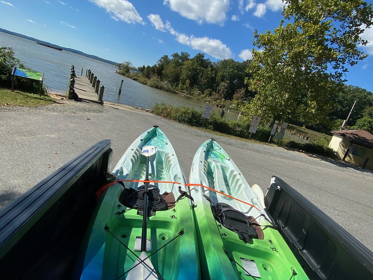 a couple of kayaks sitting in the back of a truck