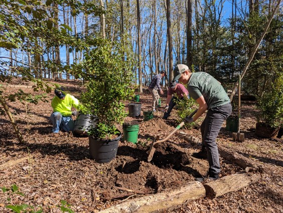 a group of people working in the woods